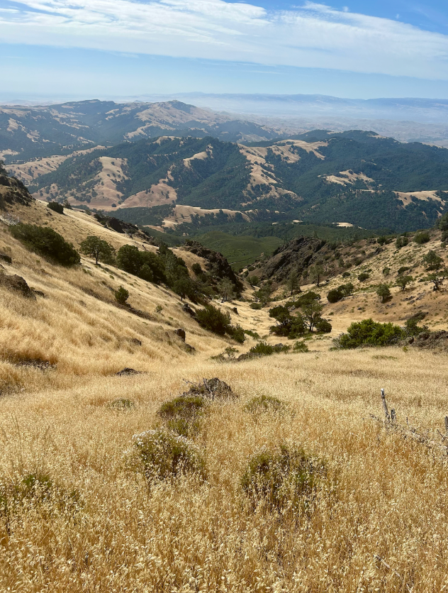 Landscape of Mount Diablo